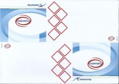SAL PRIMER LABEL HS*50A4GH PRO B 2PC