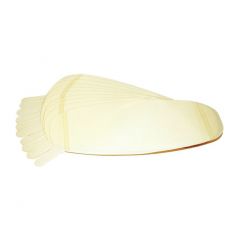 SCOTT PROMASK VOORZETVIZIER 10ST